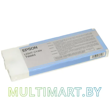 Картридж Epson C13T606500 картинка 2